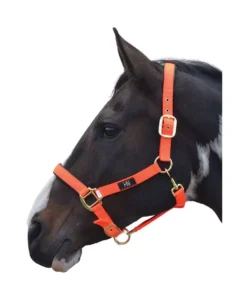 Hy Grand Prix Head Collar -Finest Equestrian Supplies hy grand prix head collar orange jpg
