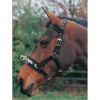Hy Lunge Cavesson -Finest Equestrian Supplies hy lunge cavesson black jpg