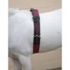 Hy Training Roller 1 Hy Training Roller -Finest Equestrian Supplies hy training roller jpg