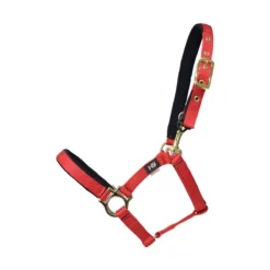 HY Fieldsafe Headcollar 19 HY Fieldsafe Headcollar -Finest Equestrian Supplies hy fieldsafe foal head collar red 1 1 jpg