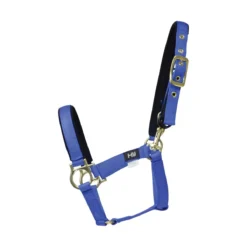 Hy Fieldsafe Foal Head Collar -Finest Equestrian Supplies hy fieldsafe foal head collar royal 1 jpg