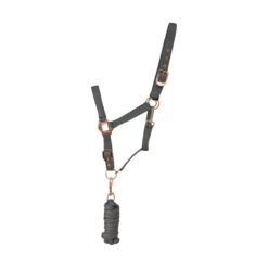 Hy Rose Gold Headcollar & Leadrope -Finest Equestrian Supplies hy rose gold headcollar and lead rope grey 1 jpg