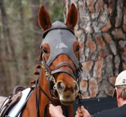 Fenwick Liquid Titanium Mask Velcro - No Ears -Finest Equestrian Supplies img 1505 1024x1024 2x 1 1 jpg