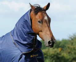 Bucas Irish Turnout Neck Cover -Finest Equestrian Supplies irish turnout navy with neck 16724 2 jpg