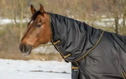 Bucas Irish Turnout Neck Cover -Finest Equestrian Supplies irish turnout combi neck black gold 2344 3 jpg