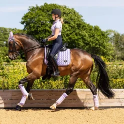 LeMieux Loire Classic Dressage Square -Finest Equestrian Supplies it02672 lifestyle loireclassicdressagesquare wisteria 1 2 jpg