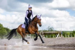 LeMieux Loire Classic GP Square -Finest Equestrian Supplies it02953 lifestyle loireclassicgpsquare wisteria 5 jpg