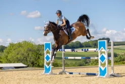 LeMieux Loire Classic GP Square -Finest Equestrian Supplies it02955 lifestyle loireclassicgpsquare mist 1 jpg