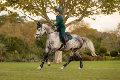 Lemieux ProSport Suede GP Jump Square -Finest Equestrian Supplies it03259 lifestyle suedegpsquare spruce 5 1 jpg