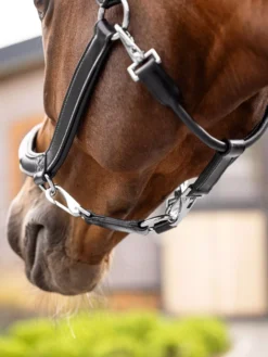 LeMieux Leather Grooming Headcollar -Finest Equestrian Supplies it03309 lifestyle leathergroomingheadcollar black 2 1 jpg
