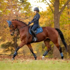 LeMieux Loire Classic GP Square -Finest Equestrian Supplies it03835 lifestyle loireclassicgpsquare atlantic 3 1 jpg