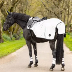 LeMieux Reflective Exercise Sheet 8 LeMieux Reflective Exercise Sheet -Finest Equestrian Supplies it03873 lifestyle reflectiveexercisesheet 1 copy 1 1 jpg