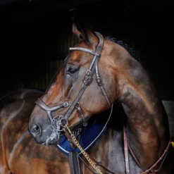 John Whitaker Chicago Anatomic Breathable Bridle