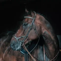 John Whitaker Chicago Anatomic Breathable Bridle 7 John Whitaker Chicago Anatomic Breathable Bridle -Finest Equestrian Supplies john whitaker chicago anatomic perforated bridle jpg