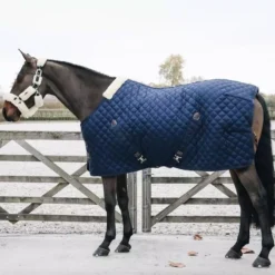 Kentucky Horsewear Stable Rug 200g -Finest Equestrian Supplies kentucky horsewear stable rug 200g 800x800 1 3 jpg