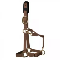 KM Elite Luxury Padded Headcollar -Finest Equestrian Supplies km elite luxury padded headcollar brown 1 jpg