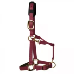 KM Elite Luxury Padded Headcollar -Finest Equestrian Supplies km elite luxury padded headcollar burgundy 2 jpg