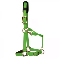 KM Elite Luxury Padded Headcollar -Finest Equestrian Supplies km elite luxury padded headcollar green 2 jpg