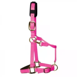 KM Elite Luxury Padded Headcollar -Finest Equestrian Supplies km elite luxury padded headcollar hot pink 3 1 jpg