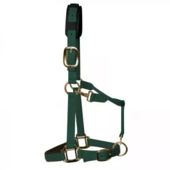 KM Elite Luxury Padded Headcollar -Finest Equestrian Supplies km elite luxury padded headcollar hunter green 2 jpg
