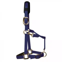 KM Elite Luxury Padded Headcollar -Finest Equestrian Supplies km elite luxury padded headcollar navy 3 jpg