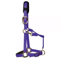 KM Elite Luxury Padded Headcollar -Finest Equestrian Supplies km elite luxury padded headcollar purple 1 jpg
