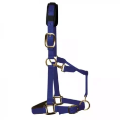 KM Elite Luxury Padded Headcollar -Finest Equestrian Supplies km elite luxury padded headcollar royal blue 1 1 jpg