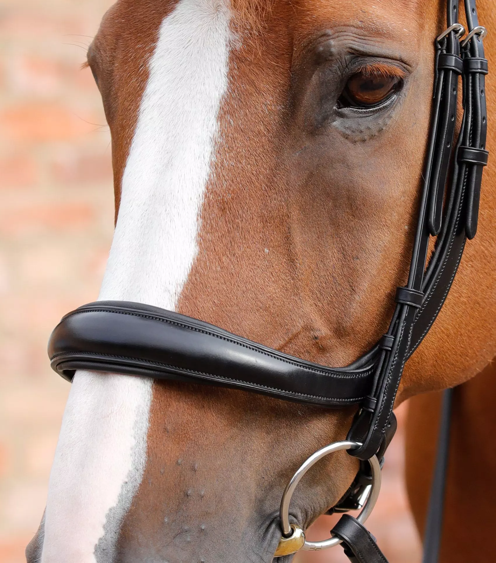 Premier Equine Lambro Anatomic Bridle With Crank Noseband 4 Premier Equine Lambro Anatomic Bridle With Crank Noseband - Image 2