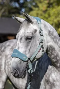 LeMieux Vogue Fleece Headcollar & Leadrope 33 LeMieux Vogue Fleece Headcollar & Leadrope -Finest Equestrian Supplies lemieux vogue fleece headcollar leadrope sage 2 2 jpg