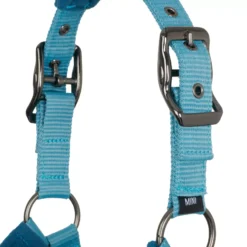 LeMieux Vogue MINI Fleece Headcollar & Leadrope 29 LeMieux Vogue MINI Fleece Headcollar & Leadrope -Finest Equestrian Supplies lm minivogueheadcollar marine hr 2 1 jpg