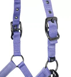 LeMieux Vogue Fleece Headcollar & Leadrope 35 LeMieux Vogue Fleece Headcollar & Leadrope -Finest Equestrian Supplies lm vogueheadcollar bluebell6 lr 1 jpg