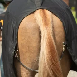 Equilibrium Magnetic Rug - Black/Grey