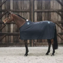 Kentucky Horsewear Magnetic Rug Recuptex -Finest Equestrian Supplies magnetic rug on horse 1 1 png