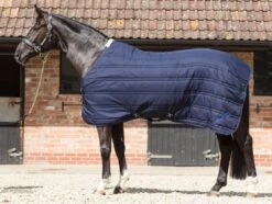 Mark Todd Quilted Lightweight Stable Rug -Finest Equestrian Supplies mark todd quilted lightweight stable rug navy royal 1