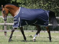 Mark Todd Autumner Turnout Rug 150g 11 Mark Todd Autumner Turnout Rug 150g -Finest Equestrian Supplies mark todd autumner rug 4