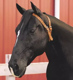 Miracle Cribbing Collar