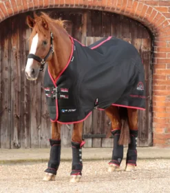 Premier Equine Nano-Tec Infrared Horse Rug -Finest Equestrian Supplies nano tec infrared rug 2 1 7 jpg