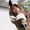 Kentucky Horsewear Nylon Sheepskin Halter Soft -Finest Equestrian Supplies nylon sheepskin halter soft 2 1 jpg