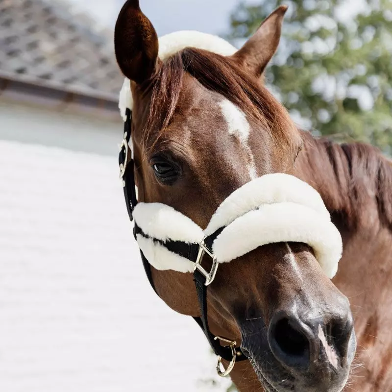 Kentucky Horsewear Nylon Sheepskin Halter Soft 3 Kentucky Horsewear Nylon Sheepskin Halter Soft