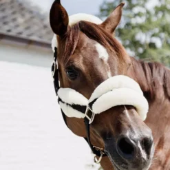 Kentucky Horsewear Nylon Sheepskin Halter Soft 11 Kentucky Horsewear Nylon Sheepskin Halter Soft -Finest Equestrian Supplies nylon sheepskin halter soft 2 2 jpg