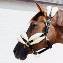 Kentucky Horsewear Nylon Sheepskin Halter Soft 13 Kentucky Horsewear Nylon Sheepskin Halter Soft -Finest Equestrian Supplies nylon sheepskin halter soft 1 2 jpg