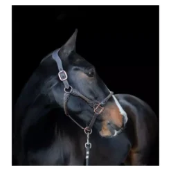 Cameo Equine Anatomic Leather Headcollar -Finest Equestrian Supplies p ana lea head col c230 10 1 3 jpg