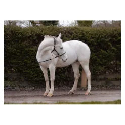 Cameo Equine Anatomic Leather Headcollar -Finest Equestrian Supplies p ana lea head col c230 12 2 jpg