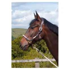 Cameo Equine Anatomic Leather Headcollar -Finest Equestrian Supplies p ana lea head col c230 14 3 jpg