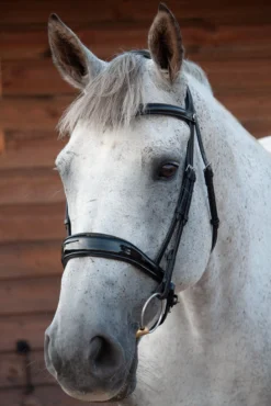 Henry James Patent Dressage Bridle - Black -Finest Equestrian Supplies patent black 2665x 2 jpg