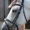 Henry James Patent Dressage Bridle With White Padding - Black -Finest Equestrian Supplies patent white side 2366x 1 3 jpg