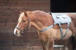 Equilibrium Massage Pad -Finest Equestrian Supplies pony massage pad scaled 1