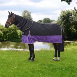 StormX Original 200 Turnout Rug With Detachable Neck Cover -Finest Equestrian Supplies pr 25487 hy stormx original 200 turnout rug with detachable neck cover 01 1 5 jpg