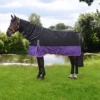 StormX Original 200 Turnout Rug With Detachable Neck Cover -Finest Equestrian Supplies pr 25487 hy stormx original 200 turnout rug with detachable neck cover 01 1 6 jpg