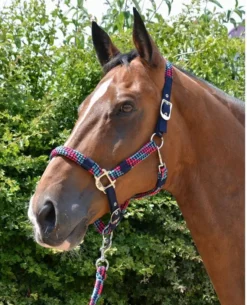 Hy Multicolour Adjustable Head Collar With Rope -Finest Equestrian Supplies pr 26723 hy multicolour head collar and lead rope 06 1 1 jpg